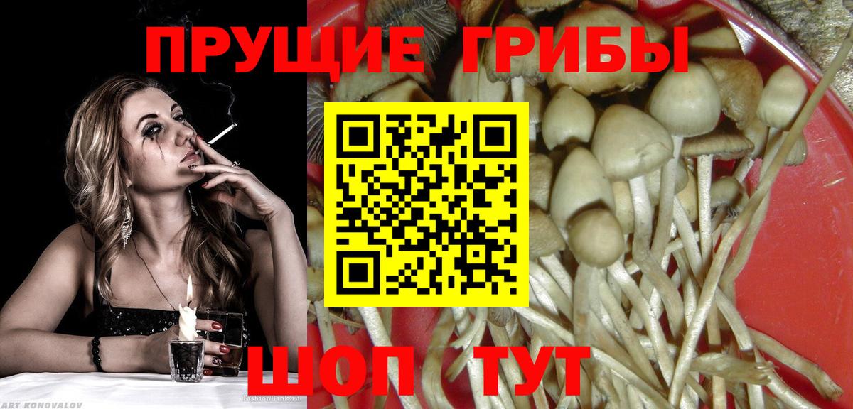 купить наркотик  Вход с VPN  Рассказово  Псилоцибиновые грибы MAGIC MUSHROOMS 